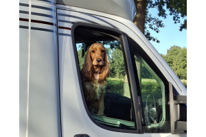 Het leven is een feestje – Teambaas Jack gaat zes weken op tour